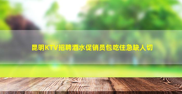 昆明KTV招聘酒水促销员包吃住急缺人切